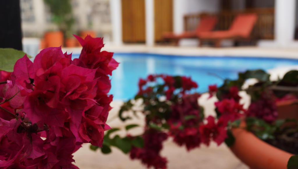 Atitlan Villas Agua Escondida Екстериор снимка